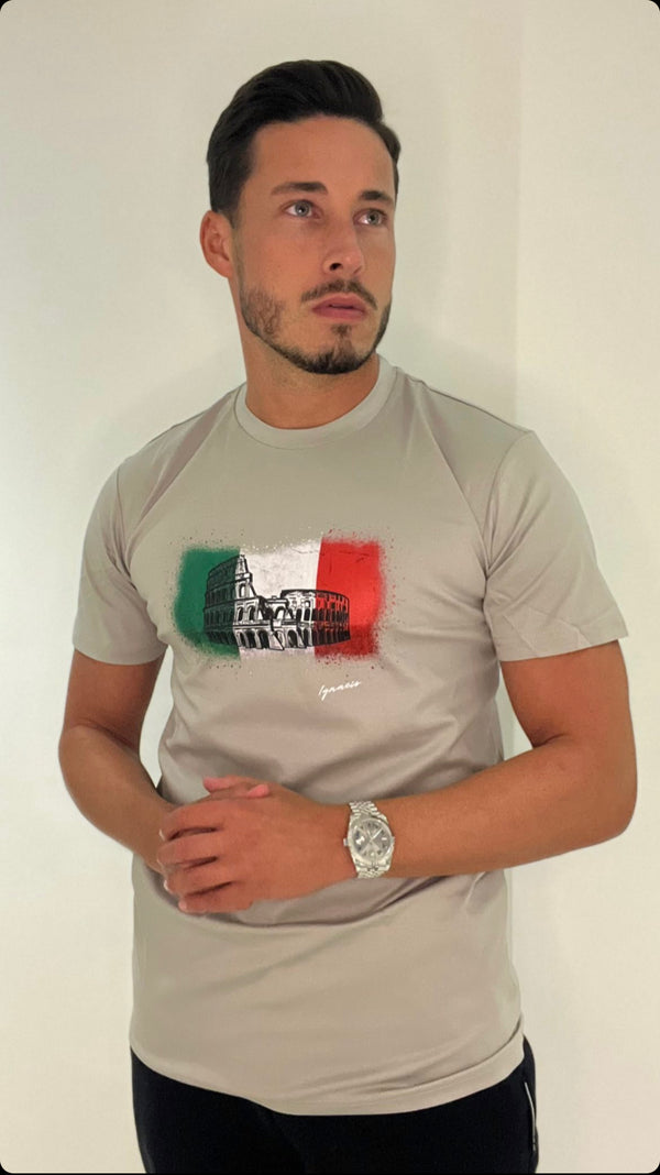 Colosseum Grey T-Shirt